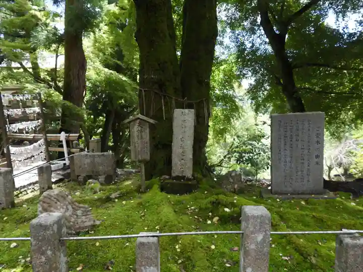 正法寺(滋賀県)