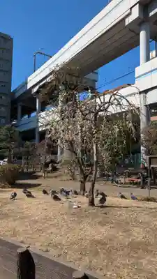 椿神社(東京都)