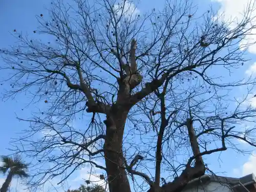 光明寺(神奈川県)