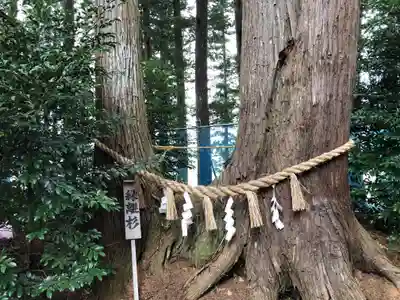 坪沼八幡神社のその他建物