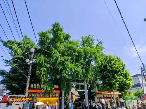 波除神社（波除稲荷神社）(東京都)