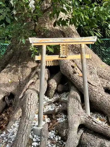 和泉國一之宮　大鳥大社(大阪府)