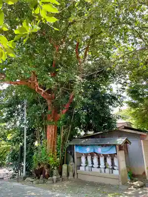 海蔵寺(神奈川県)