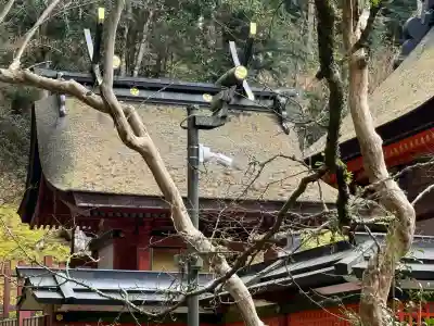 丹生都比売神社(和歌山県)