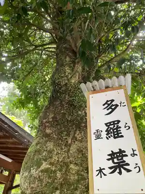 丹生川上神社（下社）(奈良県)