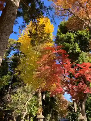 北野天神社(埼玉県)