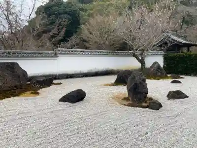 永興寺の{uncategorized: "未分類", other: "その他", undefined: "問題あり", building: "その他建物", grave: "お墓", sacred_gate: "鳥居", guardian: "狛犬", statue: "像", buddha: "仏像", history: "歴史", nature: "自然", garden: "庭園", animal: "動物", pagoda: "塔", temizu: "手水舎", mountain_gate: "山門・神門", sanctuary: "本殿・本堂", subordinate: "末社・摂社", art: "芸術", scenery: "景色", jizo: "地蔵", ema: "絵馬", goshuin: "御朱印", omikuji: "おみくじ", items: "授与品その他", amulet: "お守り", goshuincho: "御朱印帳", eats: "食事", festival: "お祭り", votive_dance: "神楽", shichigosan: "七五三参", wedding: "結婚式", experience: "体験その他", initially: "初詣", around: "周辺", anti_infection: "感染症対策"}