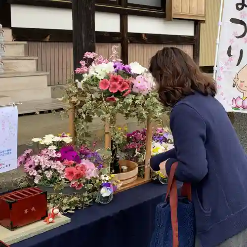 伊勢原 法泉寺の体験その他