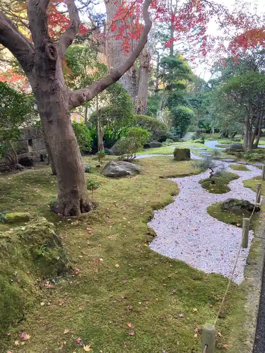 報国寺の庭園