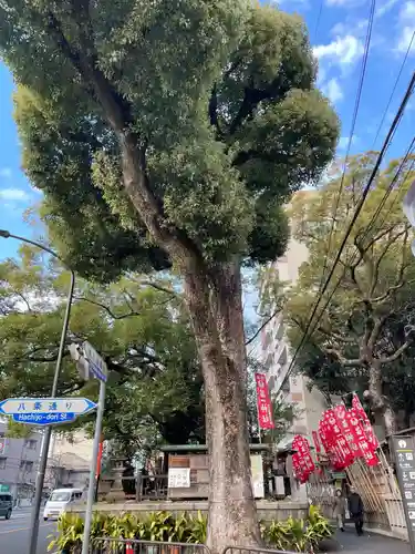 若一神社(京都府)