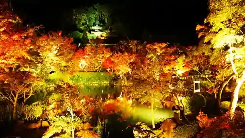 禅林寺（永観堂）の庭園