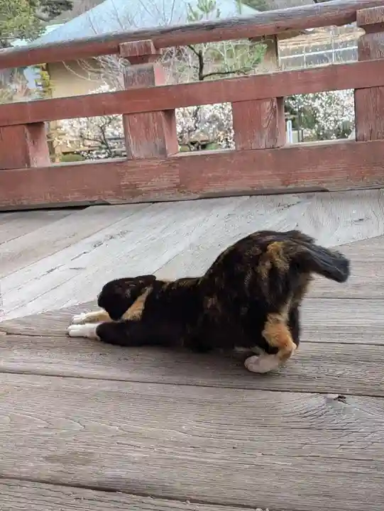 甲斐善光寺(山梨県)