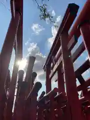 小泉稲荷神社の鳥居