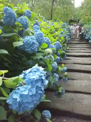 明月院のその他建物