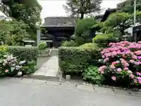 極楽寺(霊鷲山感應院極楽律寺)のその他建物