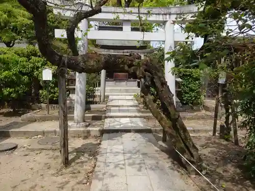 北野天満宮の鳥居