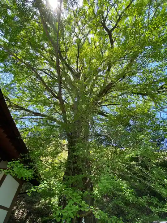 来迎院(奈良県)