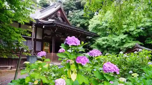 本土寺の本殿・本堂