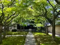 黄梅院(京都府)