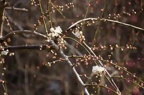 城南宮(京都府)