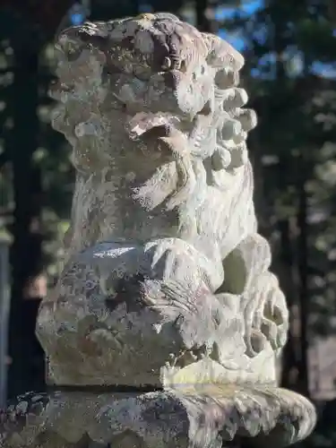 河口浅間神社の狛犬