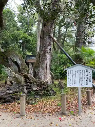 大山祇神社(愛媛県)