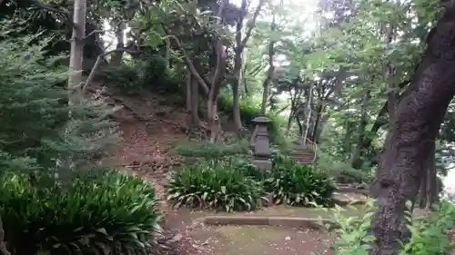 芝東照宮の自然
