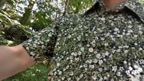 賀茂御祖神社（下鴨神社）(京都府)
