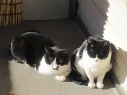 白金氷川神社(東京都)