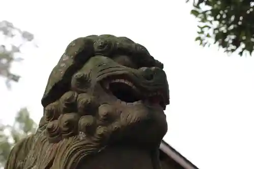 氷川神社の狛犬