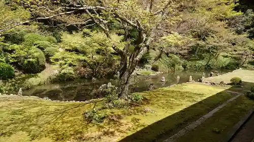 宗隣寺の庭園