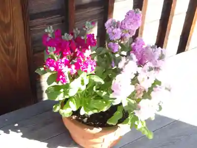 妙蓮寺(神奈川県)