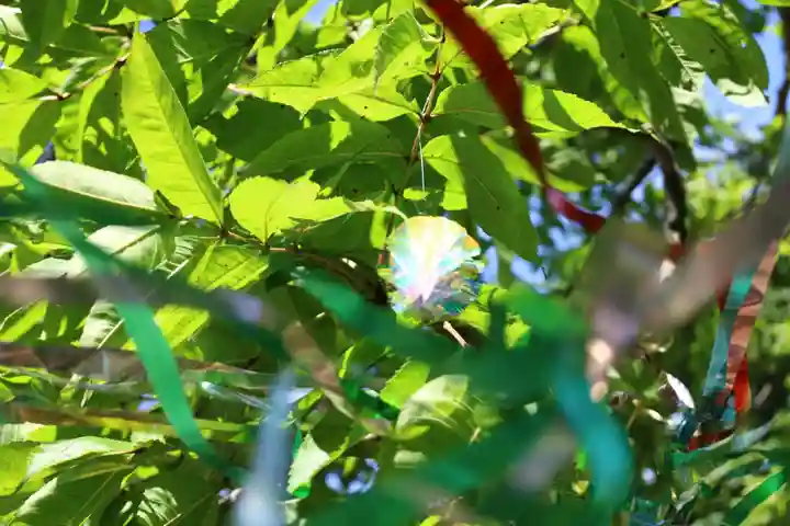 釧路一之宮 厳島神社の自然
