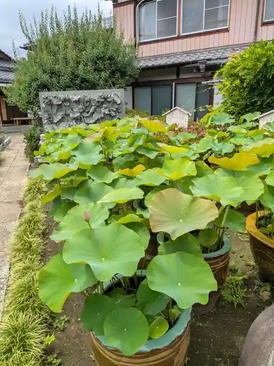 長善寺(東京都)
