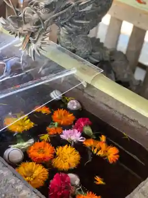 戸越八幡神社の手水舎