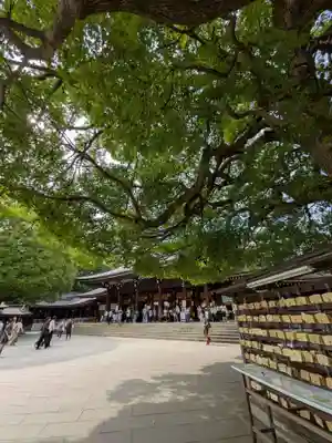 明治神宮(東京都)