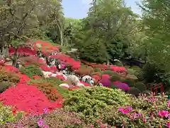 根津神社の庭園