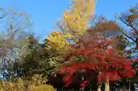 八幡神社の庭園