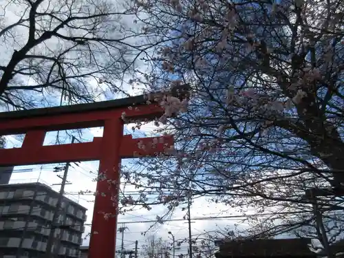 平野神社(京都府)