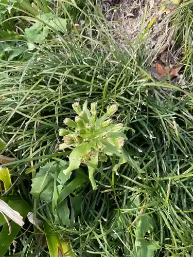 永張寺(愛知県)