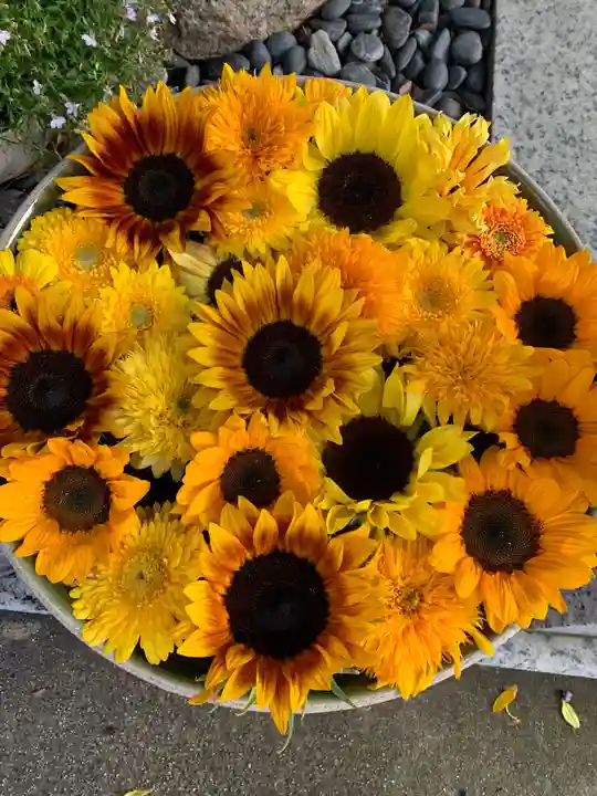 彌都加伎神社の手水舎