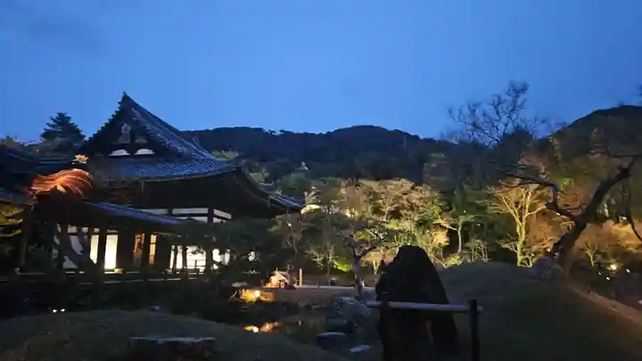 高台寺(高台寿聖禅寺・高臺寺)(京都府)