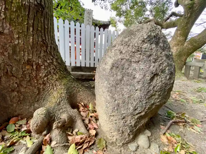東寺(教王護国寺)(京都府)