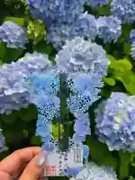 法輪寺の御朱印