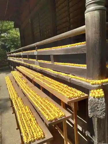 多聞院(埼玉県)