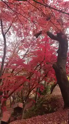 三春大神宮(福島県)