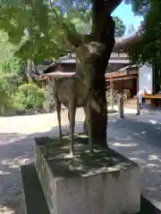 愛知県高浜市春日神社の狛犬