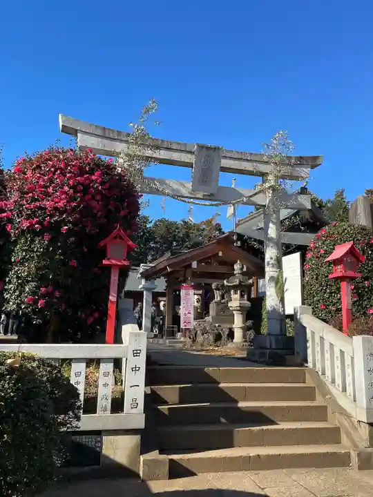 下新倉氷川八幡神社(埼玉県)