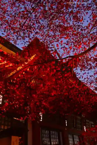 大山阿夫利神社(神奈川県)