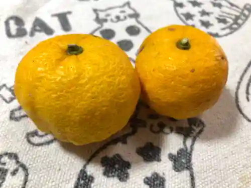 永谷天満宮の自然